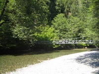 Bridge over Ohanapecosh River